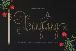 Banything: A Script Amp Typeface for Engaging Social Campaigns