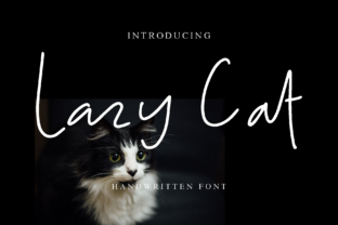 Lazy Cat: A Designer's Honest Review for Real Projects