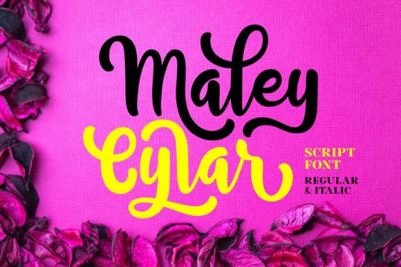 Maley Cylar: The Bold Script Typeface That Brings Handmade Products to Life