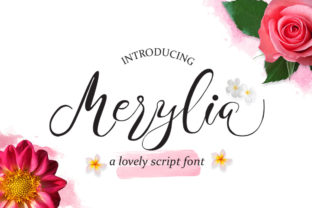 Merylia Typeface Review: Organic Handwritten Charm for Digital Brands