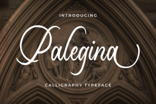 Palegina Font Review: A Timeless Script for Sophisticated Branding