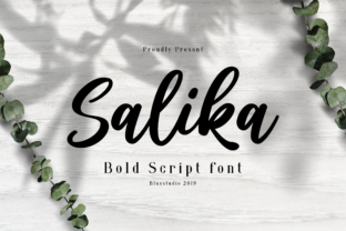 Salika Typeface Review: Adding Sophisticated Spark to Campaign Visuals