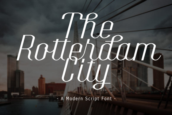 The Rotterdam City: A Designer's Real-World Review